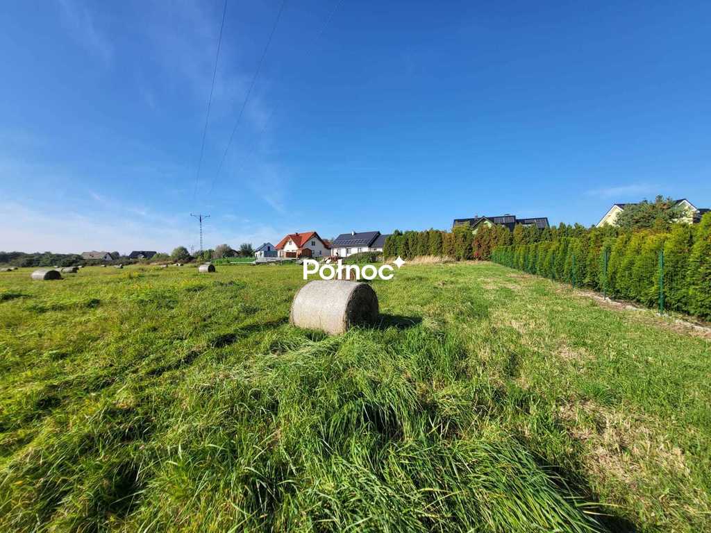 Zdjęcie 7