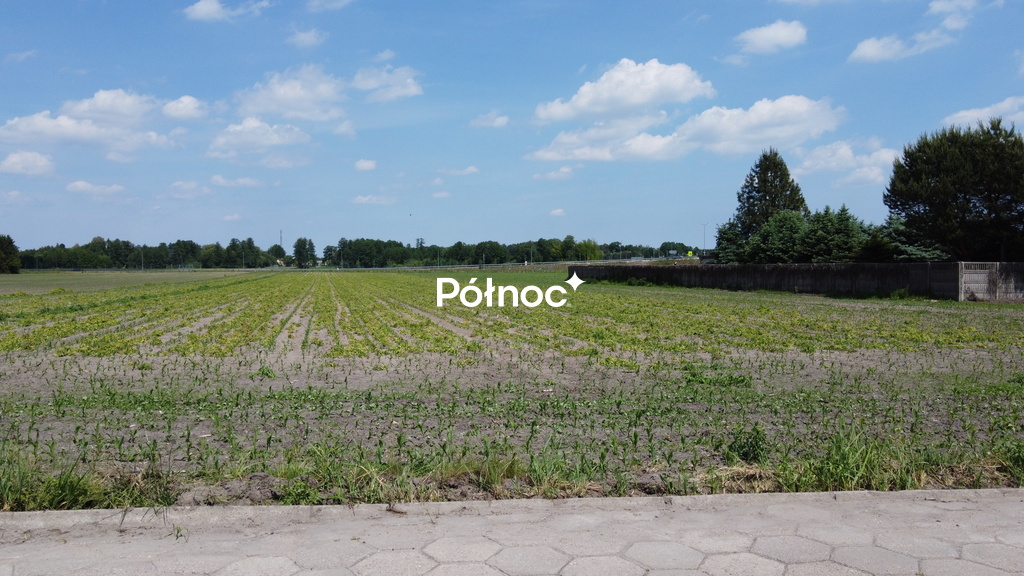 Zdjęcie 4