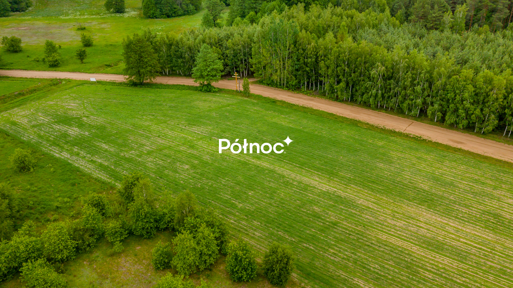 Zdjęcie 3