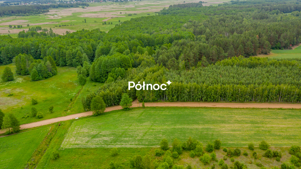 Zdjęcie 4