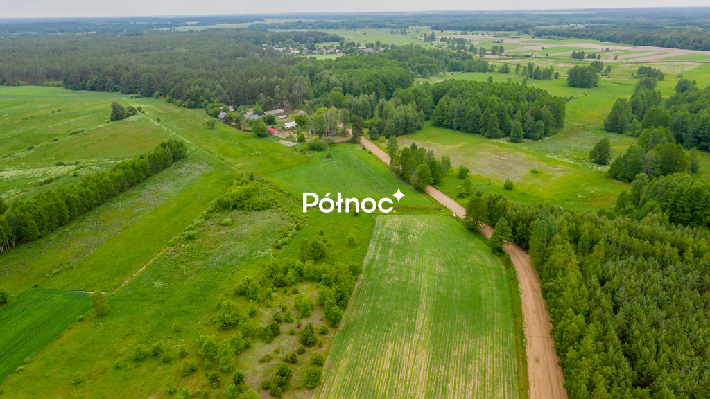 Zdjęcie 7