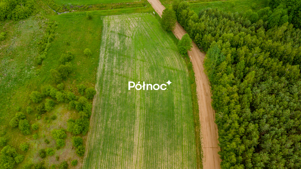 Zdjęcie 8