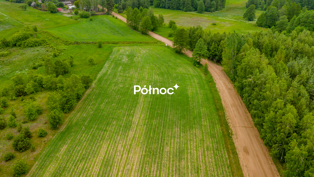 Zdjęcie 9