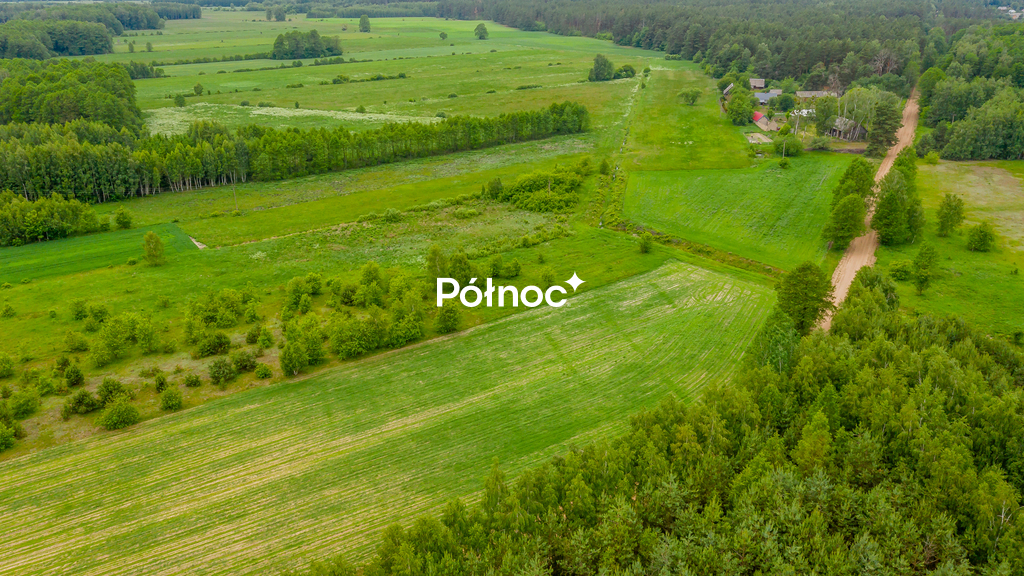 Zdjęcie 10