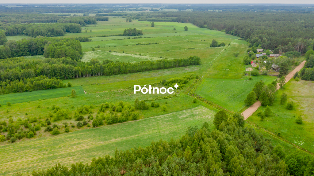 Zdjęcie 11