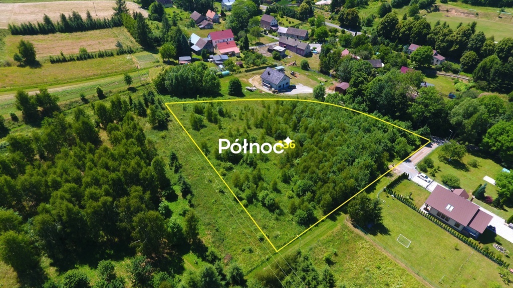 Zdjęcie 2
