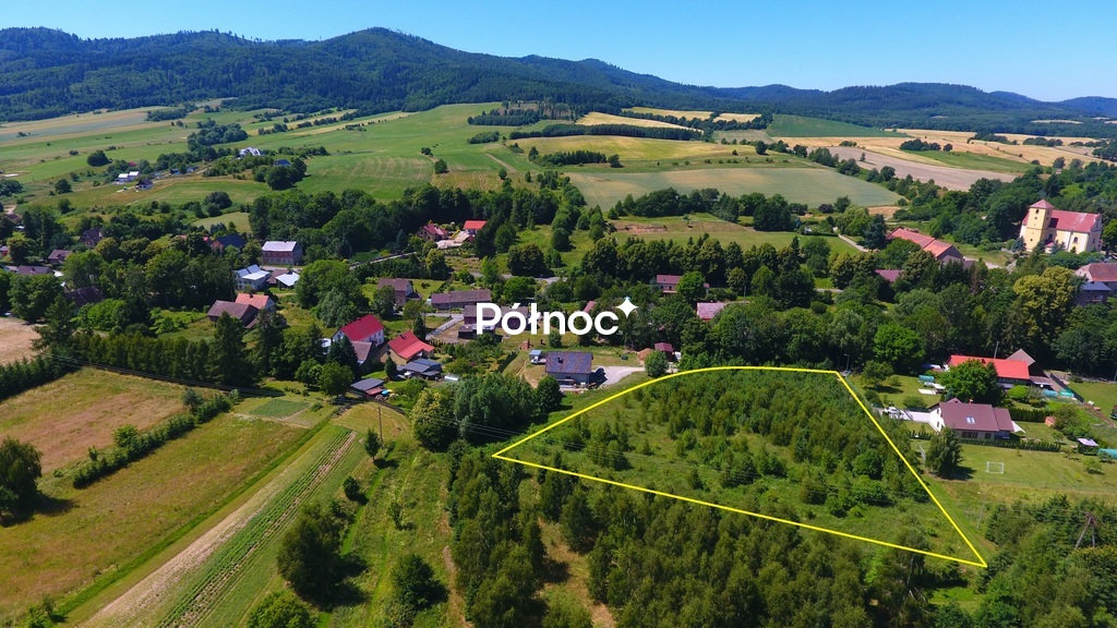 Zdjęcie 5