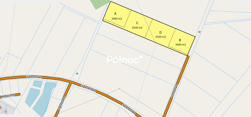 Zdjęcie 8