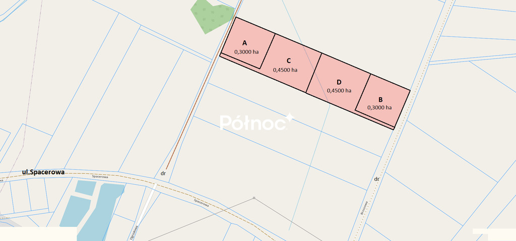 Zdjęcie 11