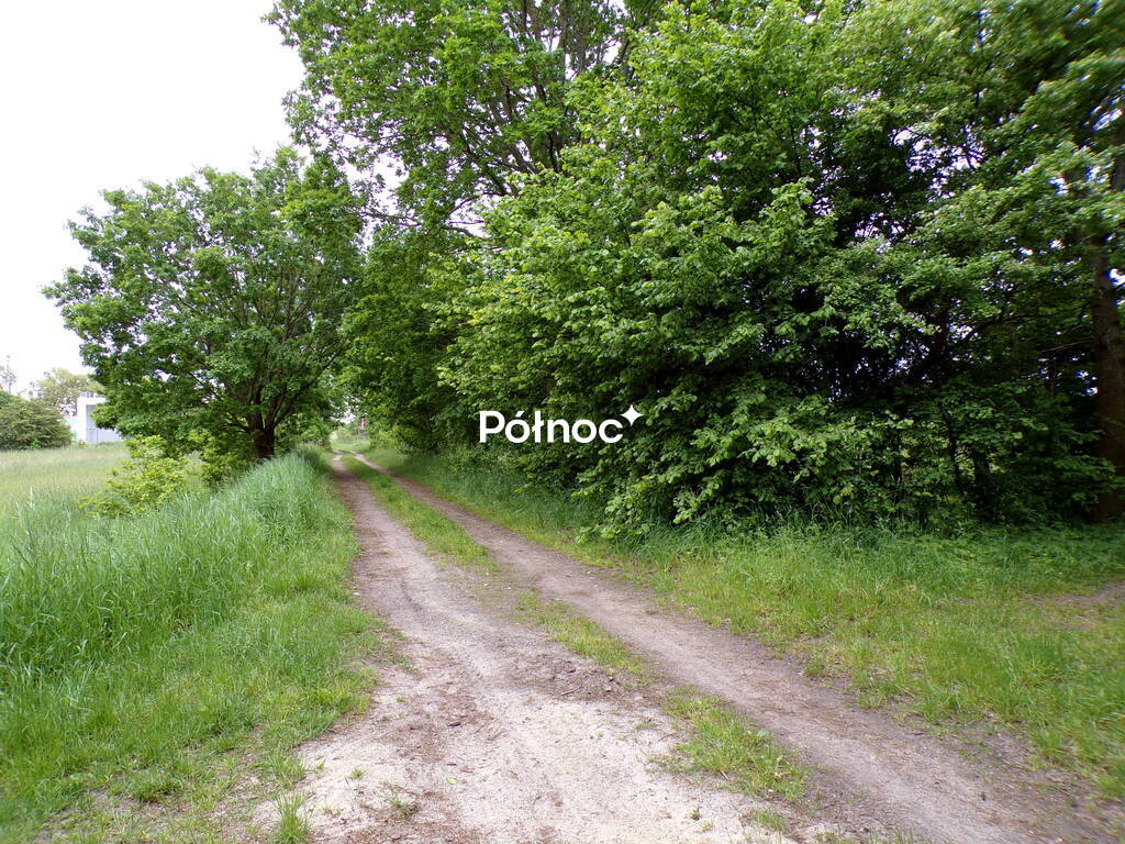 Zdjęcie 12