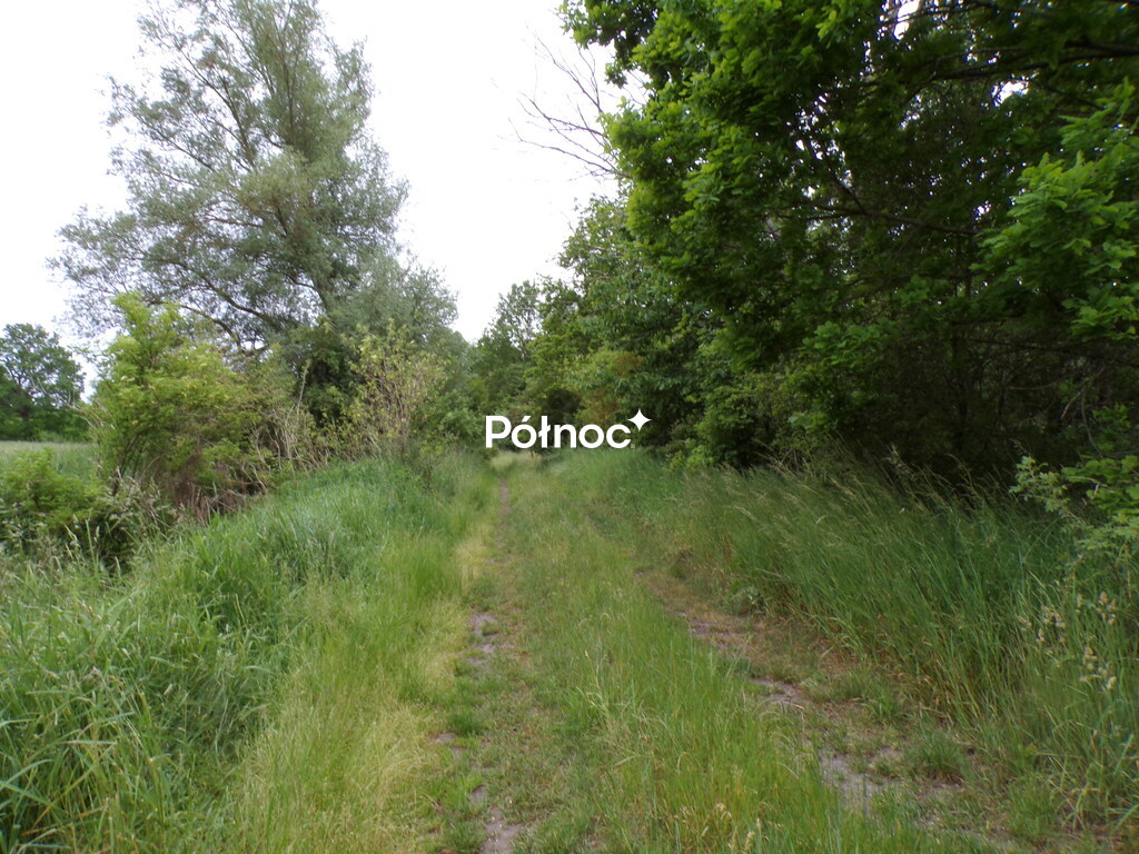 Zdjęcie 13