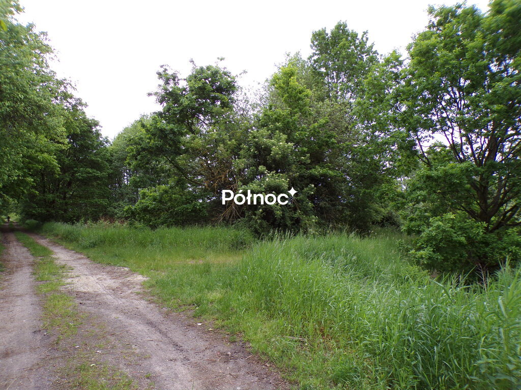 Zdjęcie 15