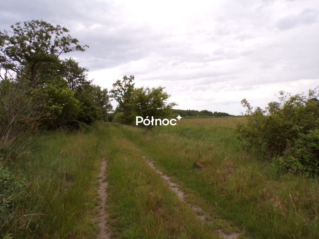 Zdjęcie 10