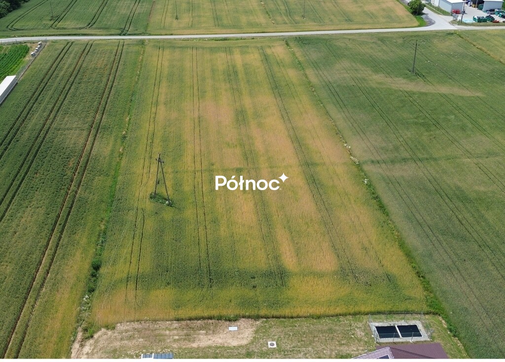 Zdjęcie 2