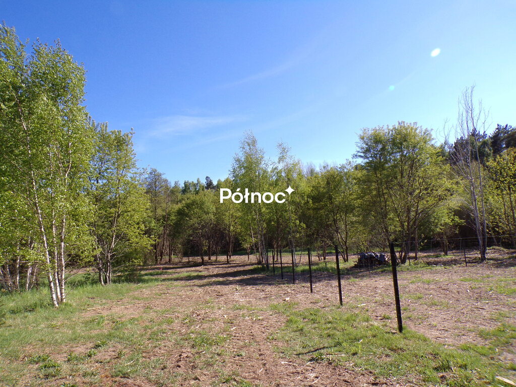 Zdjęcie 6