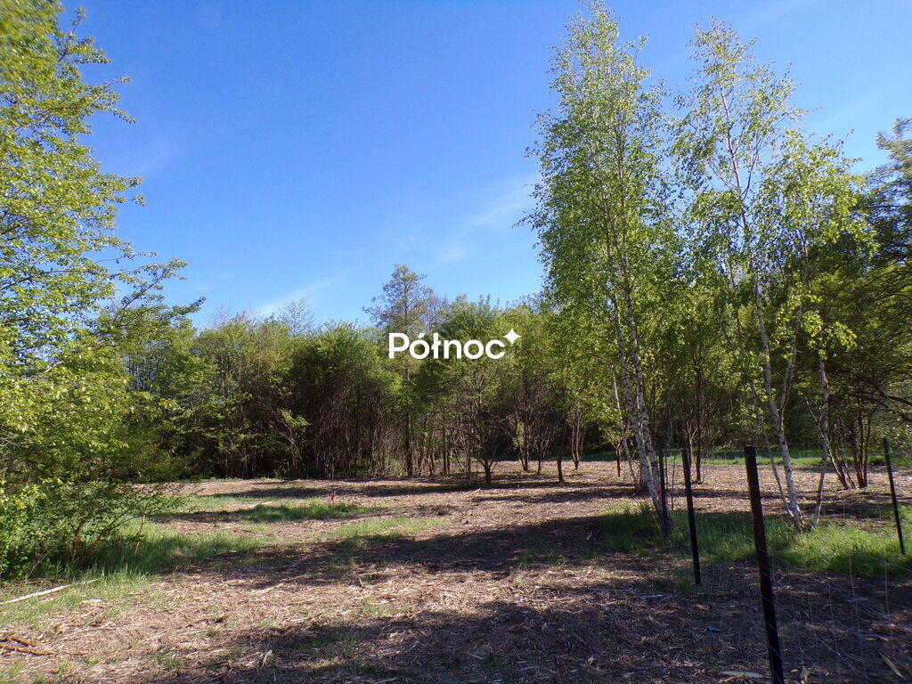 Zdjęcie 7