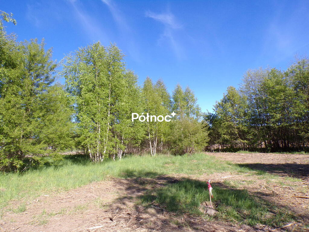 Zdjęcie 8