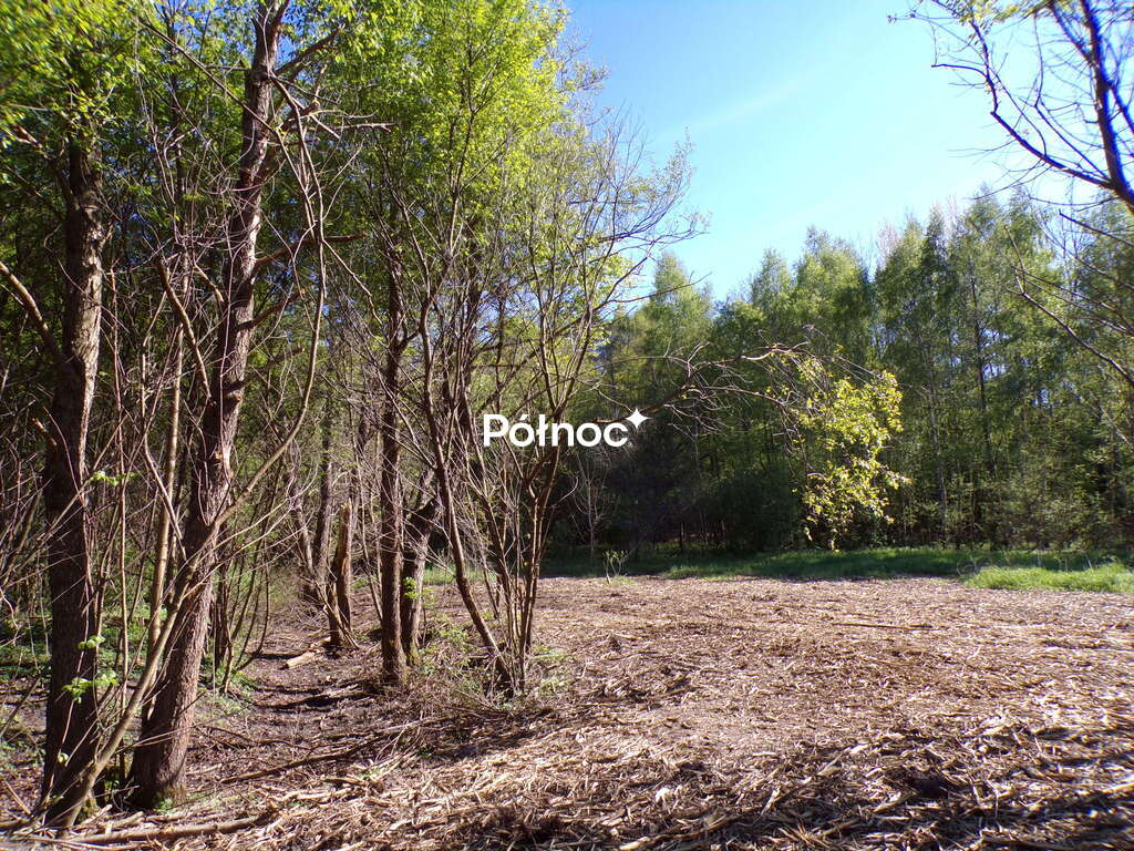 Zdjęcie 10