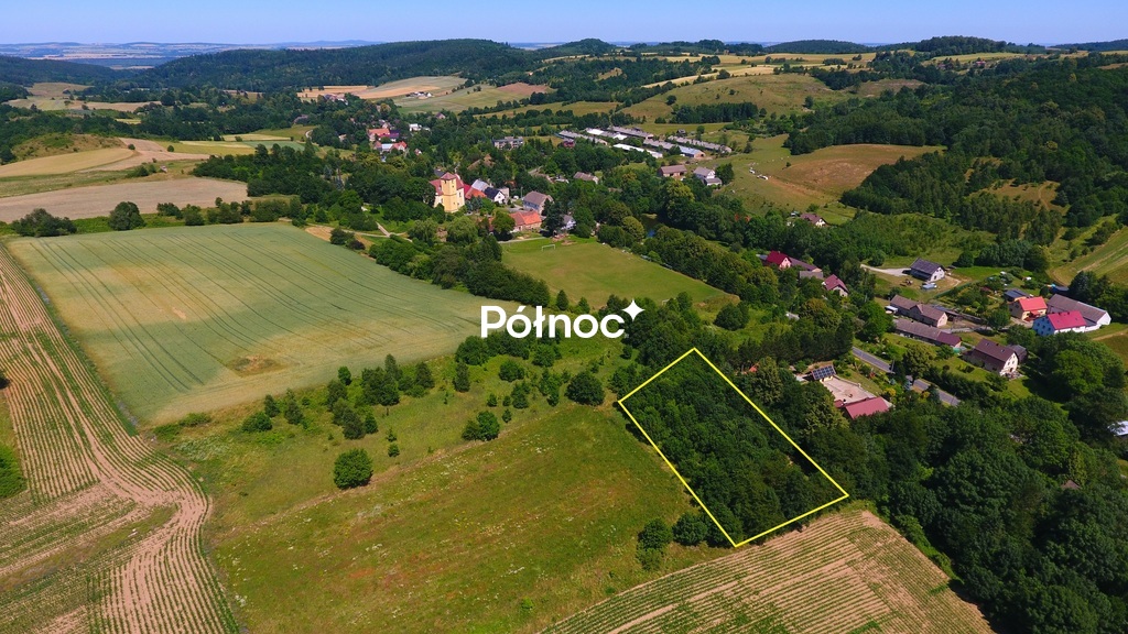 Zdjęcie 2