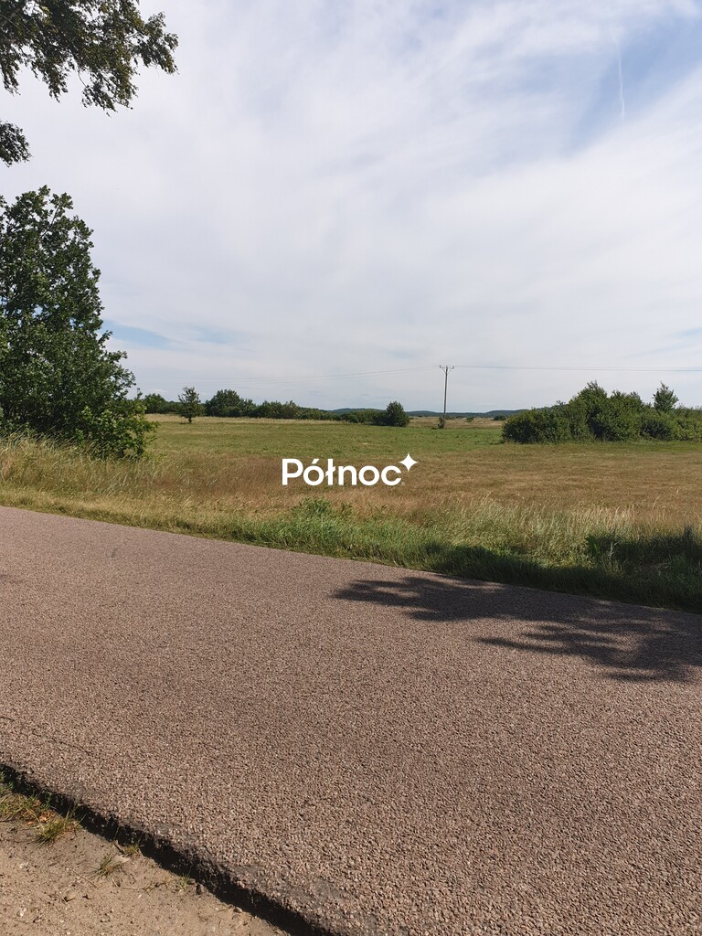 Zdjęcie 2