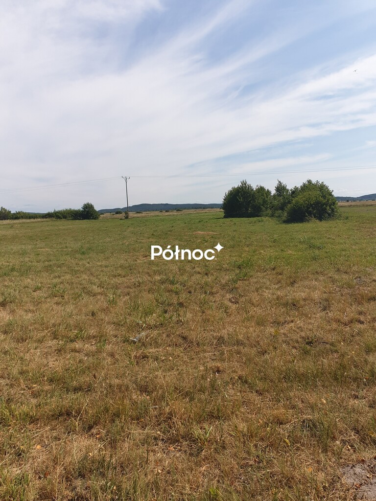 Zdjęcie 3