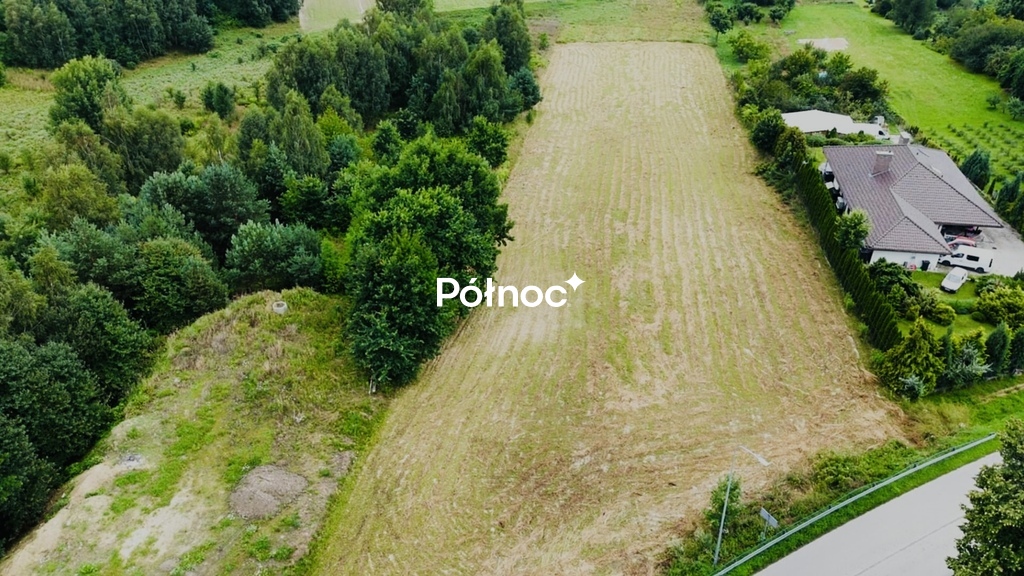 Zdjęcie 4