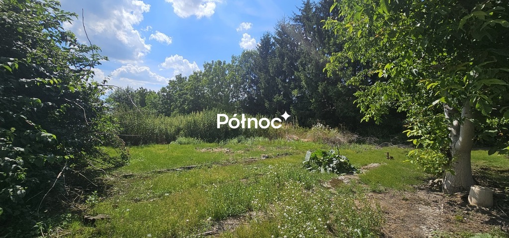 Zdjęcie 3