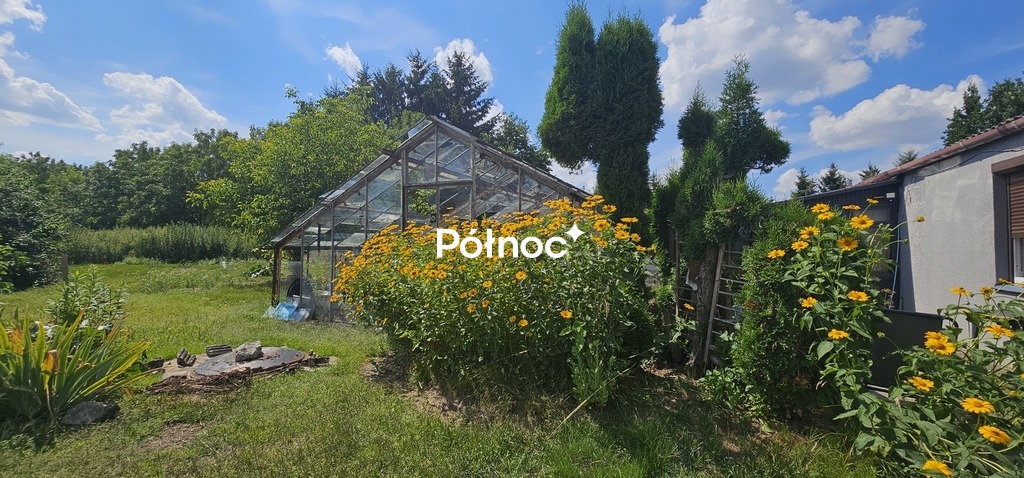 Zdjęcie 5