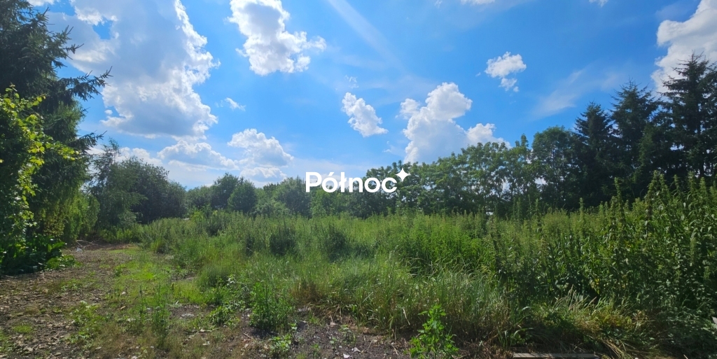 Zdjęcie 6
