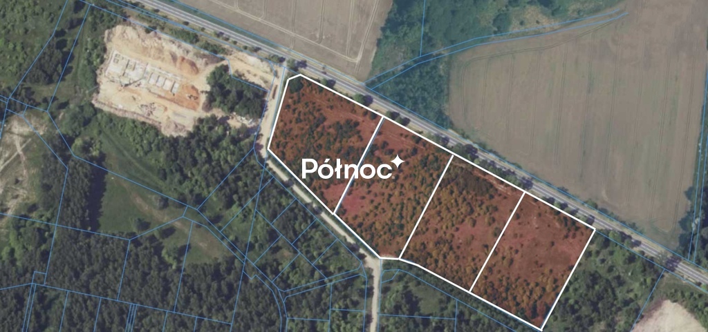 Zdjęcie 3