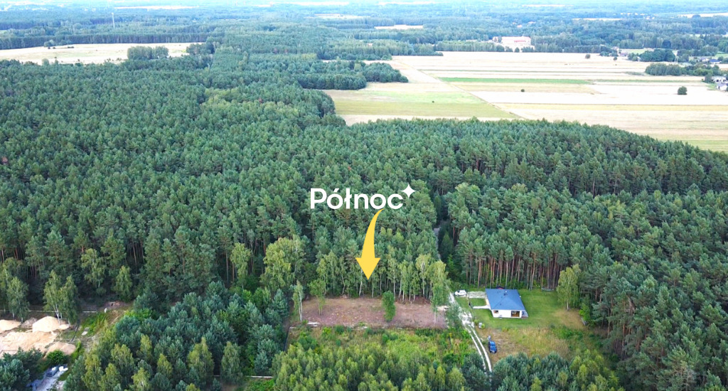 Zdjęcie 2