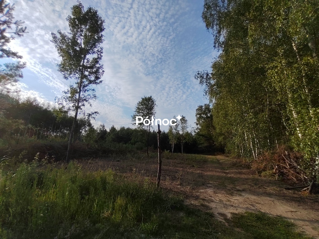 Zdjęcie 3