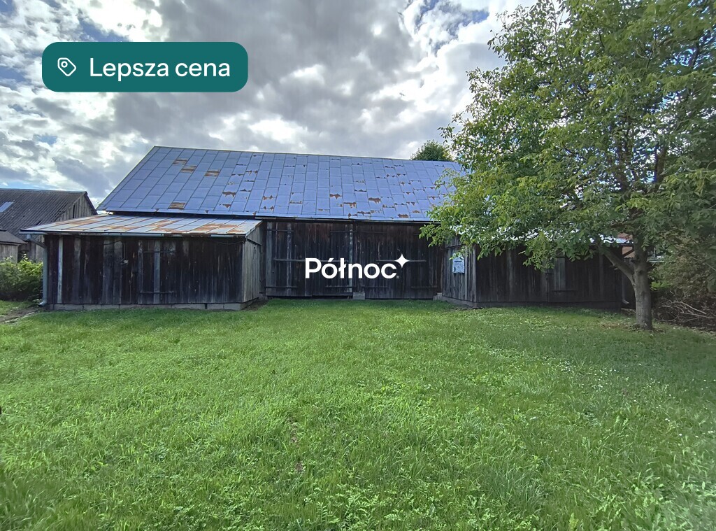 Zdjęcie 6