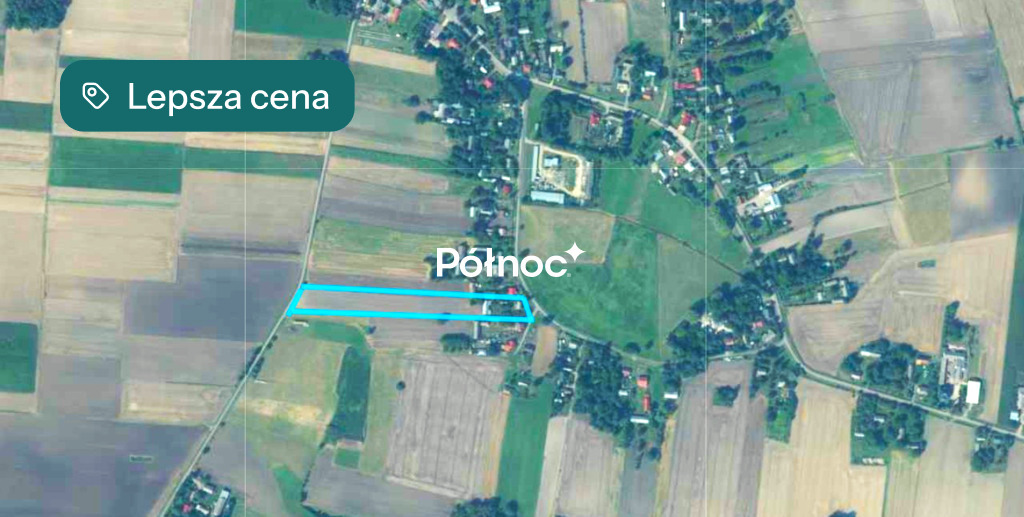 Zdjęcie 8