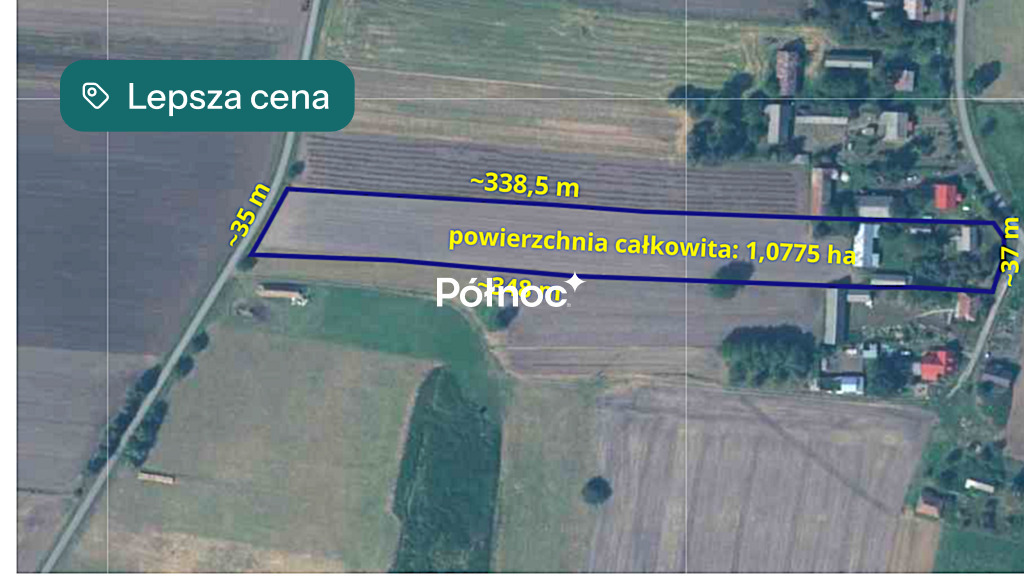 Zdjęcie 9