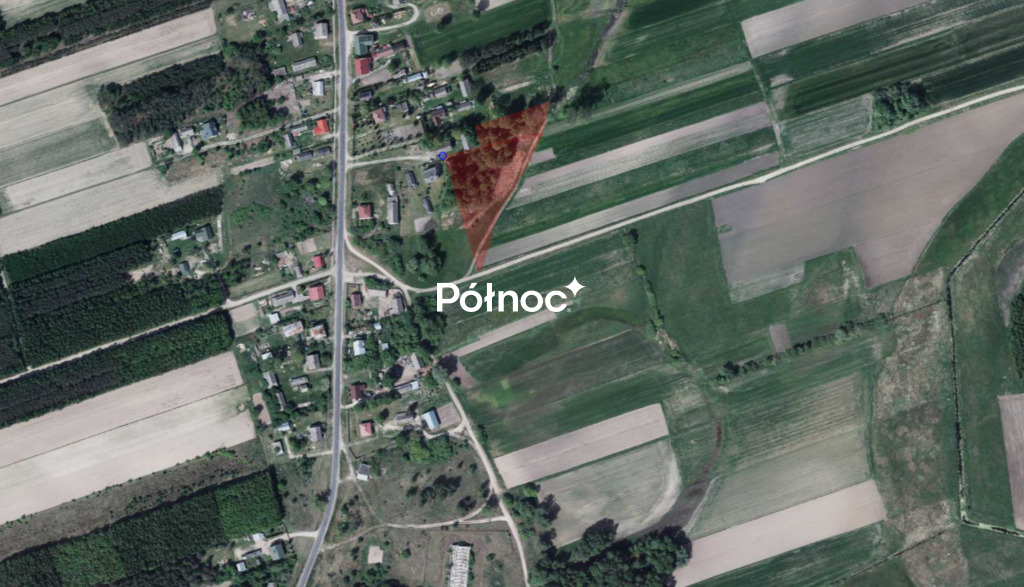 Zdjęcie 5