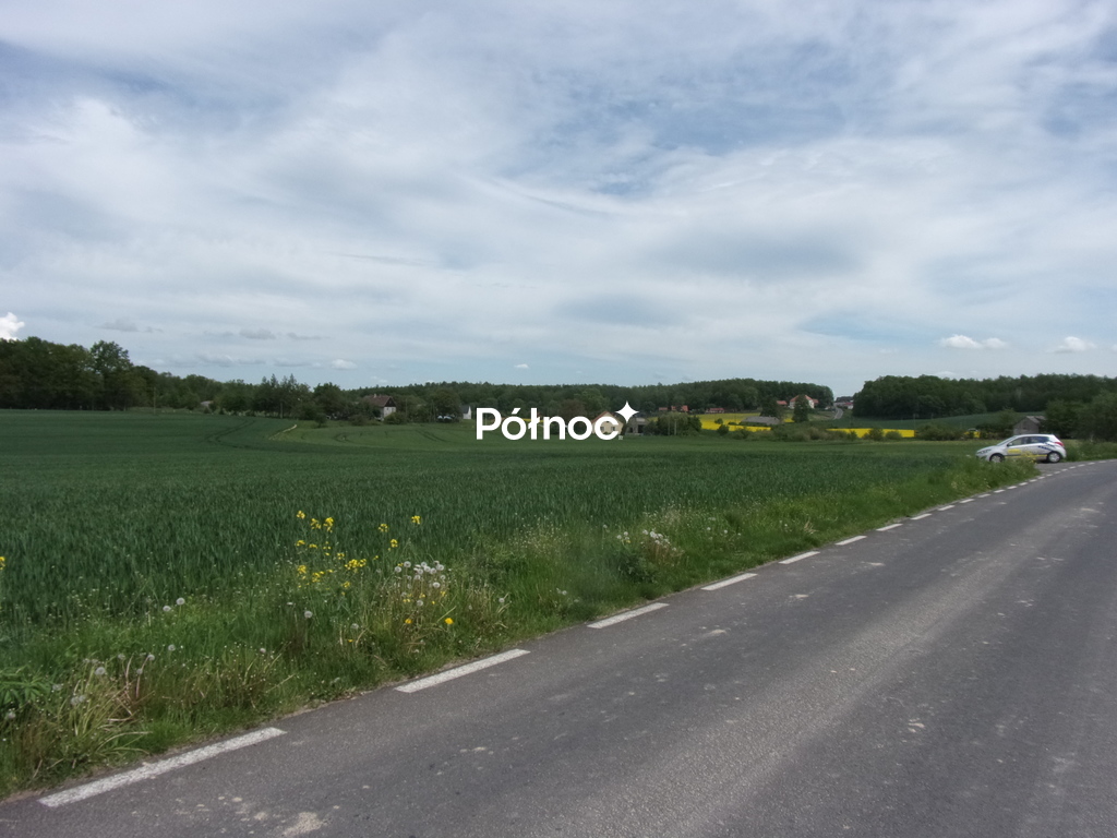 Zdjęcie 2