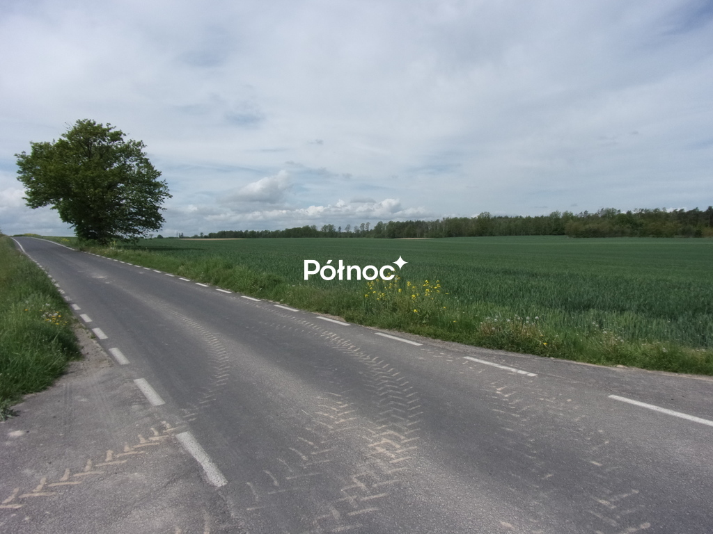 Zdjęcie 3