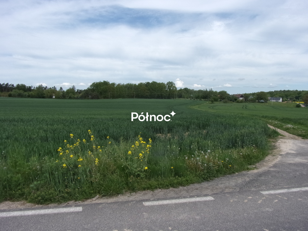 Zdjęcie 4