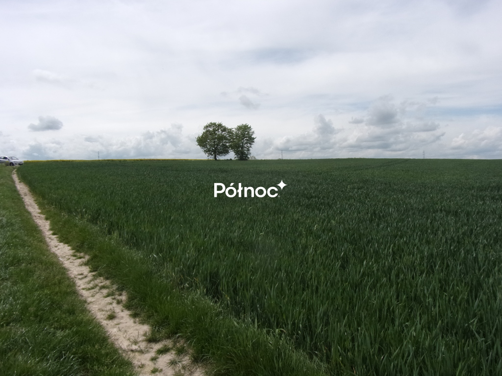 Zdjęcie 5