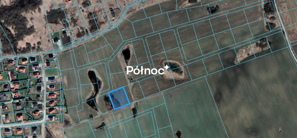 Zdjęcie 2