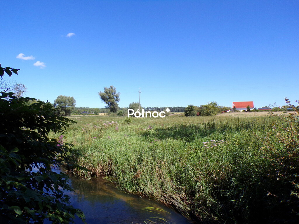 Zdjęcie 17