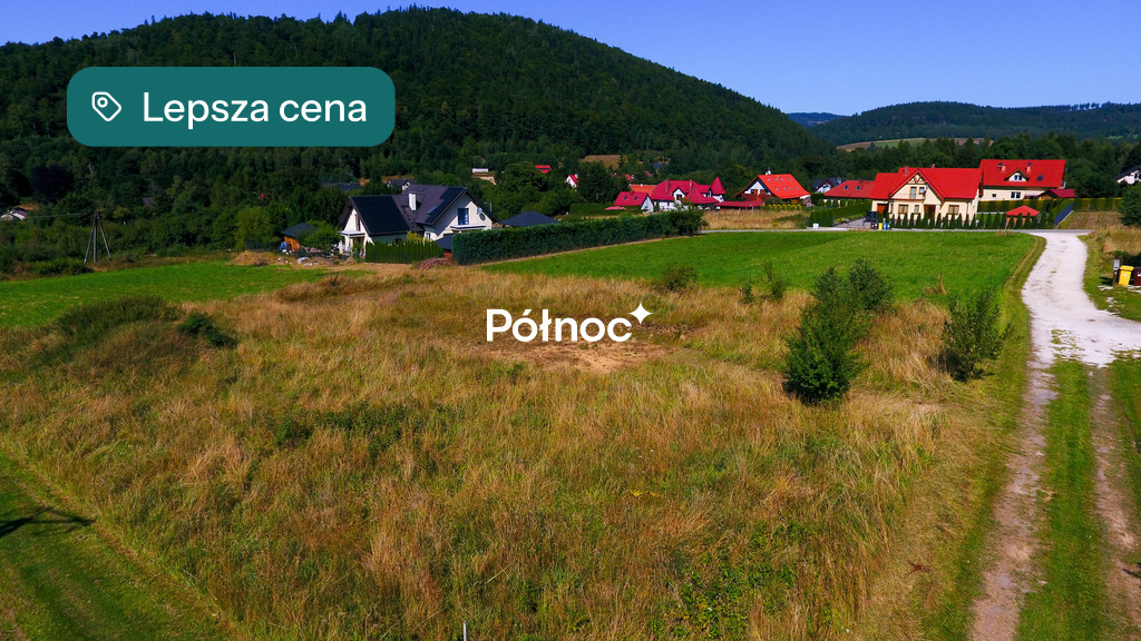 Zdjęcie 6