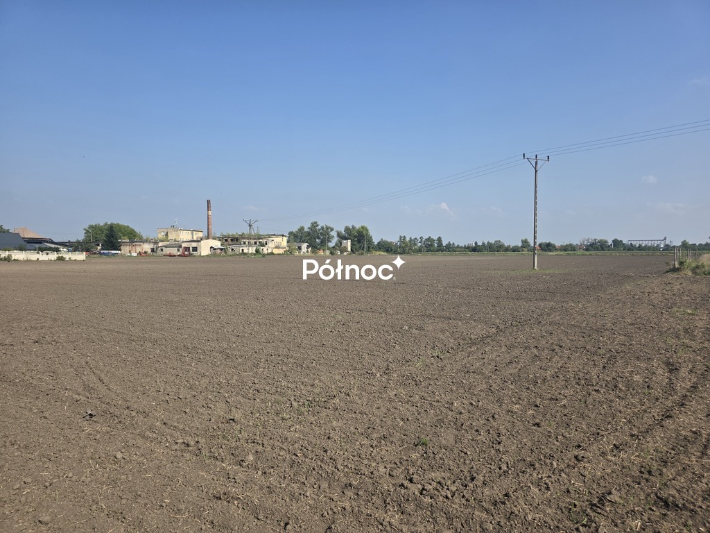 Zdjęcie 7