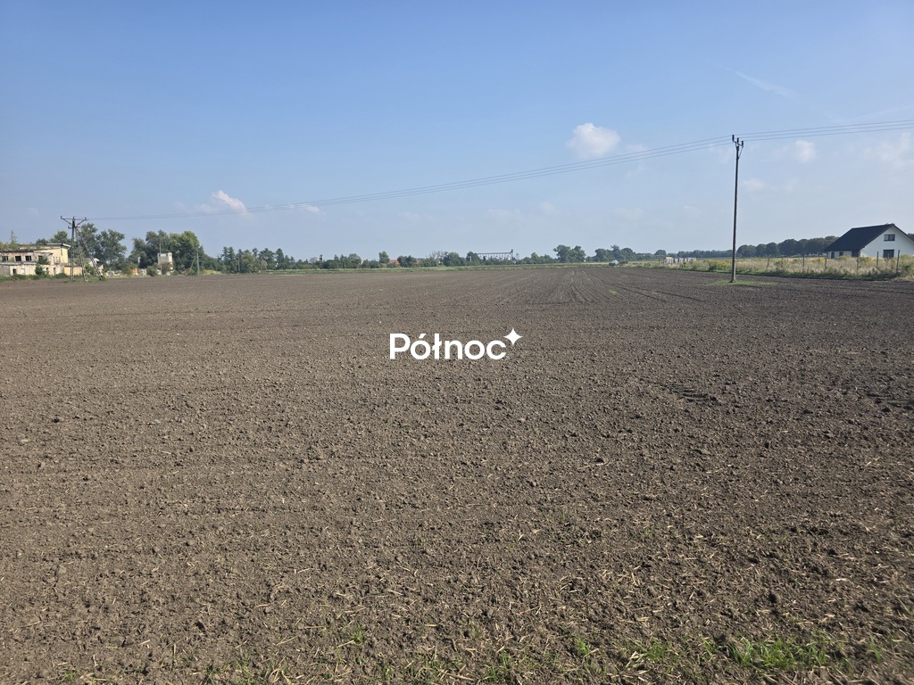 Zdjęcie 8