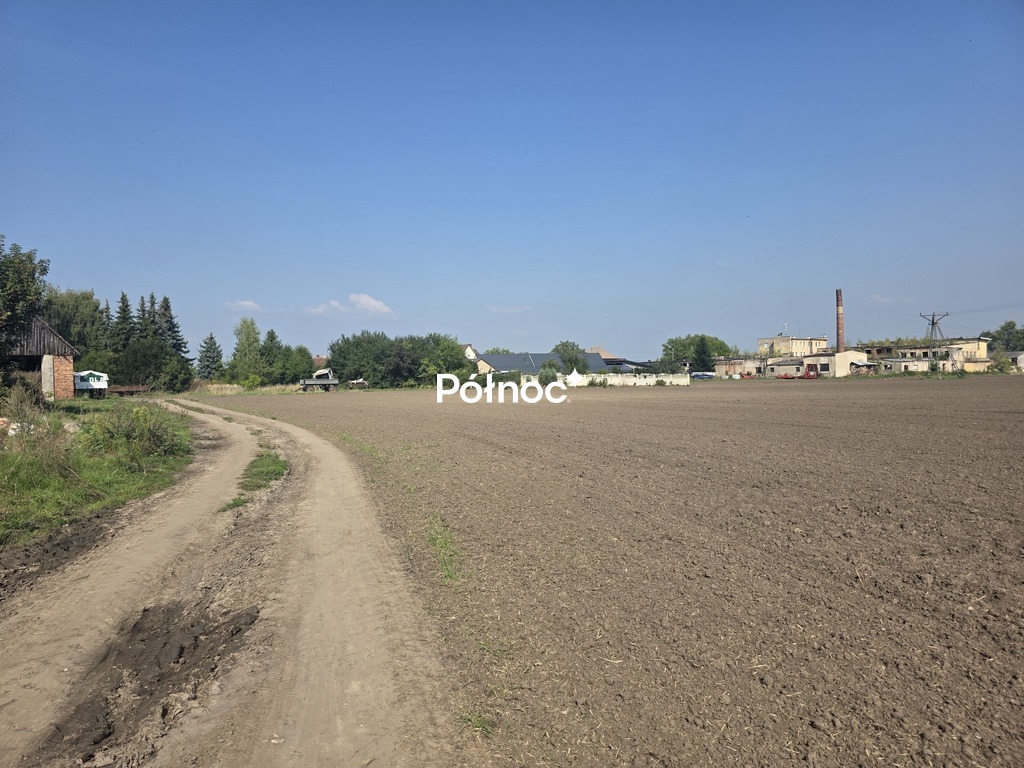 Zdjęcie 9