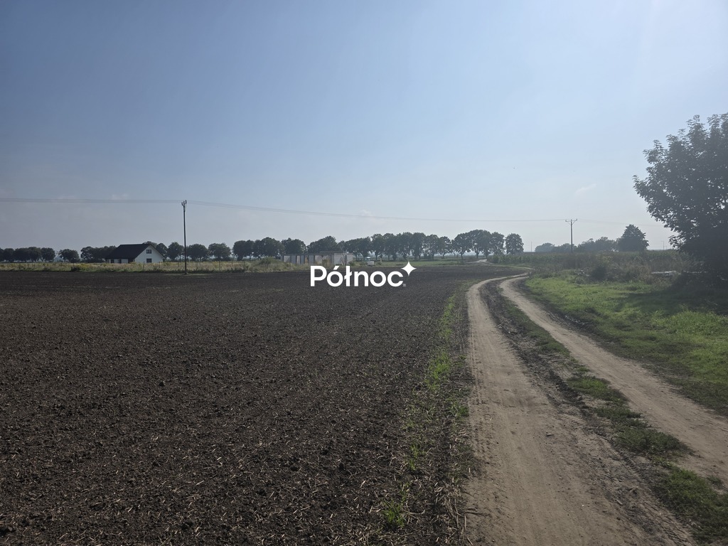 Zdjęcie 10
