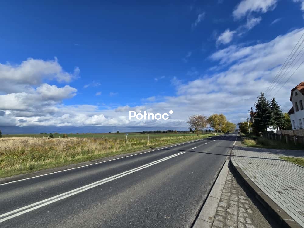 Zdjęcie 3