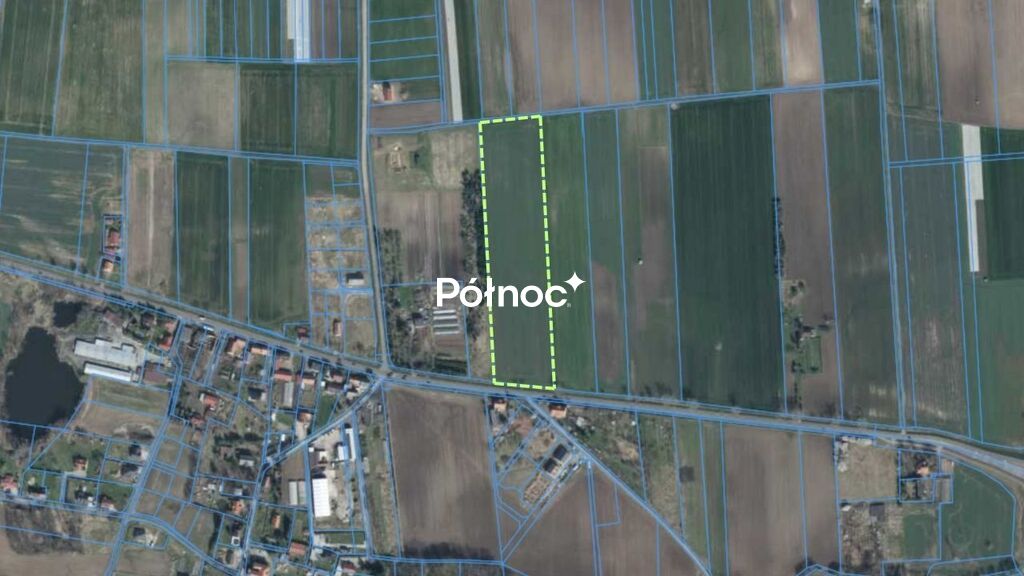 Zdjęcie 5