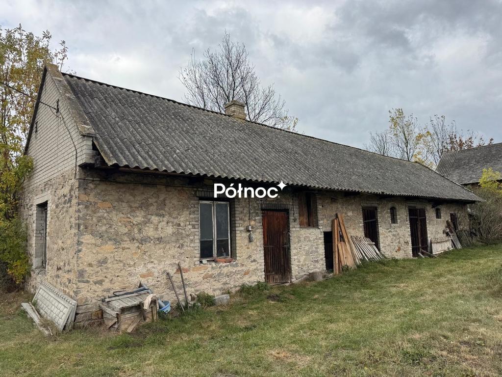 Zdjęcie 4